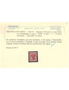TRENTINO (BZ3) 1918-19 Floreale 2c (TAXE e cifre orizz. in rosso) MNH** ©
