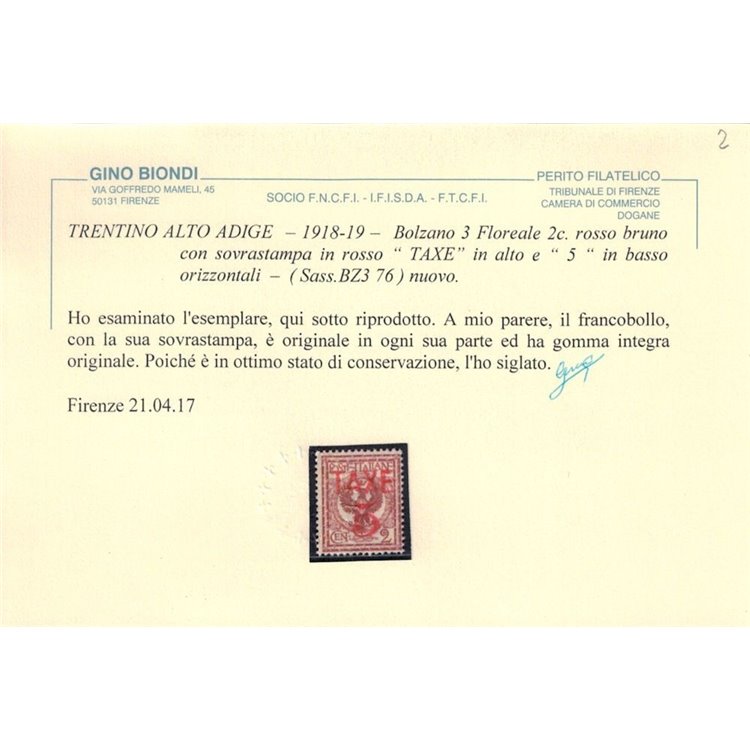 TRENTINO (BZ3) 1918-19 Floreale 2c (TAXE e cifre orizz. in rosso) MNH** ©