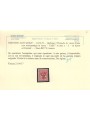 TRENTINO (BZ3) 1918-19 Floreale 2c (TAXE e cifre orizz. in rosso) MNH** ©
