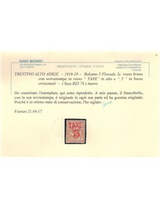 TRENTINO (BZ3) 1918-19 Floreale 2c (TAXE e cifre orizz. in rosso) MH* ©