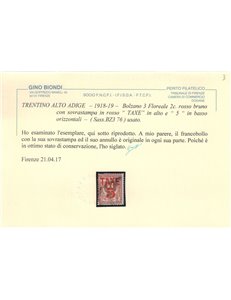 TRENTINO (BZ3) 1918-19 Floreale 2c (TAXE e cifre orizz. in rosso) us ©