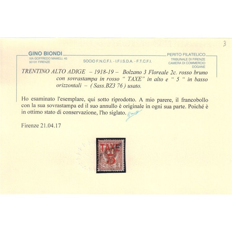 TRENTINO (BZ3) 1918-19 Floreale 2c (TAXE e cifre orizz. in rosso) us ©