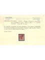 TRENTINO (BZ3) 1918-19 Floreale 2c (TAXE e cifre orizz. in rosso) us ©