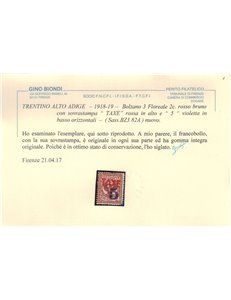 TRENTINO (BZ3) 1918-19 Floreale 2c (TAXE in rosso e cifra viol.) MNH** ©