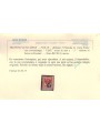TRENTINO (BZ3) 1918-19 Floreale 2c (TAXE in rosso e cifra viol.) MNH** ©