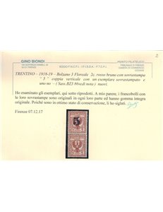 TRENTINO (BZ3) 1918-19 Varietà Floreale 2c (soprast. solo 1 valore) MNH** ©