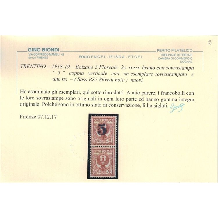 TRENTINO (BZ3) 1918-19 Varietà Floreale 2c (soprast. solo 1 valore) MNH** ©