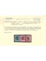 TRENTINO (BZ3) 1918-19 Venezia Tridentina (soprast. Z) 3v MNH** ©
