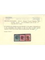 TRENTINO (BZ3) 1918-19 Venezia Tridentina (soprast. Z) 3v MH* ©