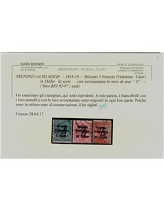 TRENTINO (BZ3) 1918-19 Venezia Tridentina (soprast. Z) 3v us ©