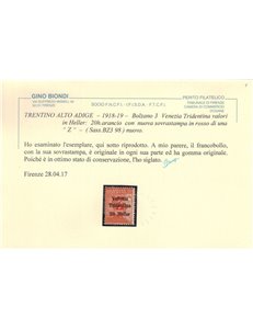 TRENTINO (BZ3) 1918-19 Venezia Tridentina (soprast. Z in rosso) MH* ©