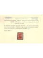 TRENTINO (BZ3) 1918-19 Venezia Tridentina (soprast. Z in rosso) MH* ©