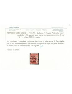 TRENTINO (BZ3) 1918-19 Venezia Tridentina (soprast. Z in rosso) us ©