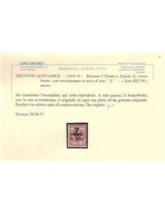 TRENTINO (BZ3) 1918-19 Trento e Trieste (soprast. Z) MH* ©
