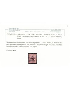 TRENTINO (BZ3) 1918-19 Trento e Trieste (soprast. Z) us ©