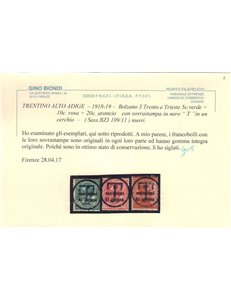 TRENTINO (BZ3) 1918-19 Trento e Trieste (soprast. T) 3v MNH** ©
