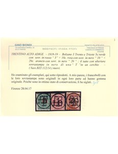 TRENTINO (BZ3) 1918-19 Trento e Trieste (soprast. T + cifra) 3v MH* ©