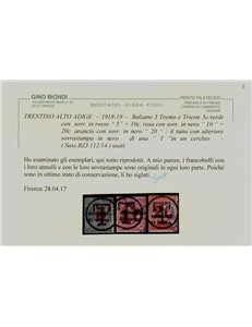 TRENTINO (BZ3) 1918-19 Trento e Trieste (soprast. T + cifra) 3v us ©