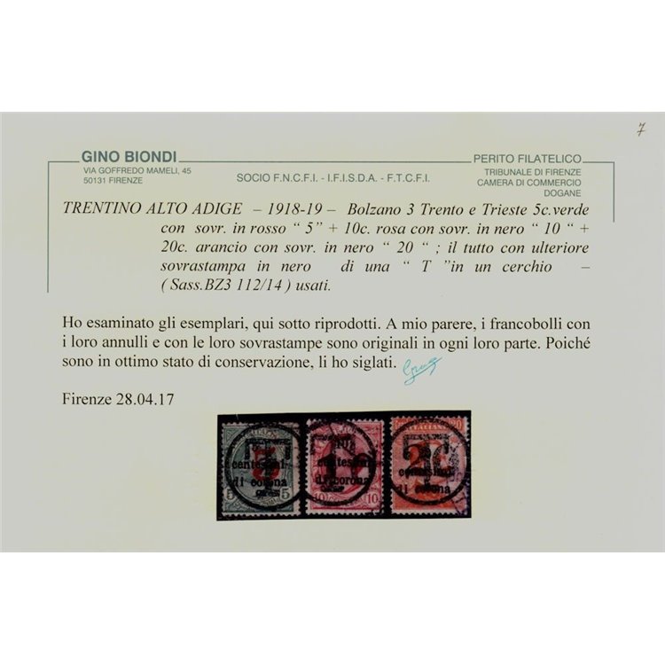 TRENTINO (BZ3) 1918-19 Trento e Trieste (soprast. T + cifra) 3v us ©