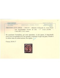 TRENTINO (BZ3) 1918-19 Floreale 2c (soprast. T) us ©