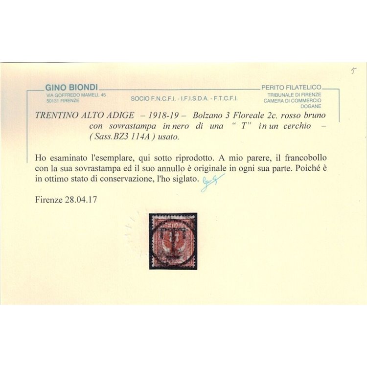 TRENTINO (BZ3) 1918-19 Floreale 2c (soprast. T) us ©
