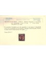 TRENTINO (BZ3) 1918-19 Floreale 2c (soprast. T) us ©