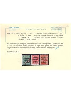 TRENTINO (BZ3) 1918-19 Venezia Tridentina (PORTO S.T.) 3v MH* ©