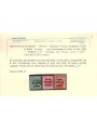 TRENTINO (BZ3) 1918-19 Venezia Tridentina (PORTO S.T.) 3v MH* ©