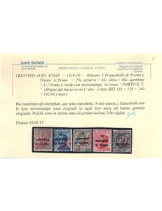 TRENTINO (BZ3) 1918-19 Trento e Trieste (PORTO S.T.) 11v MH* ©