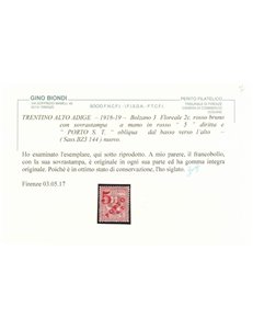 TRENTINO (BZ3) 1918-19 Floreale 2c (5 PORTO S.T. a mano) MNH** ©