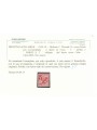 TRENTINO (BZ3) 1918-19 Floreale 2c (5 PORTO S.T. a mano) MNH** ©
