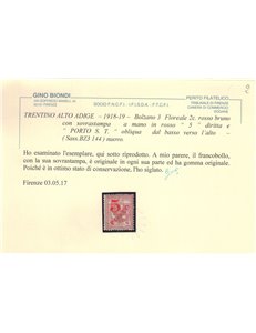 TRENTINO (BZ3) 1918-19 Floreale 2c (5 PORTO S.T. a mano) MH* ©