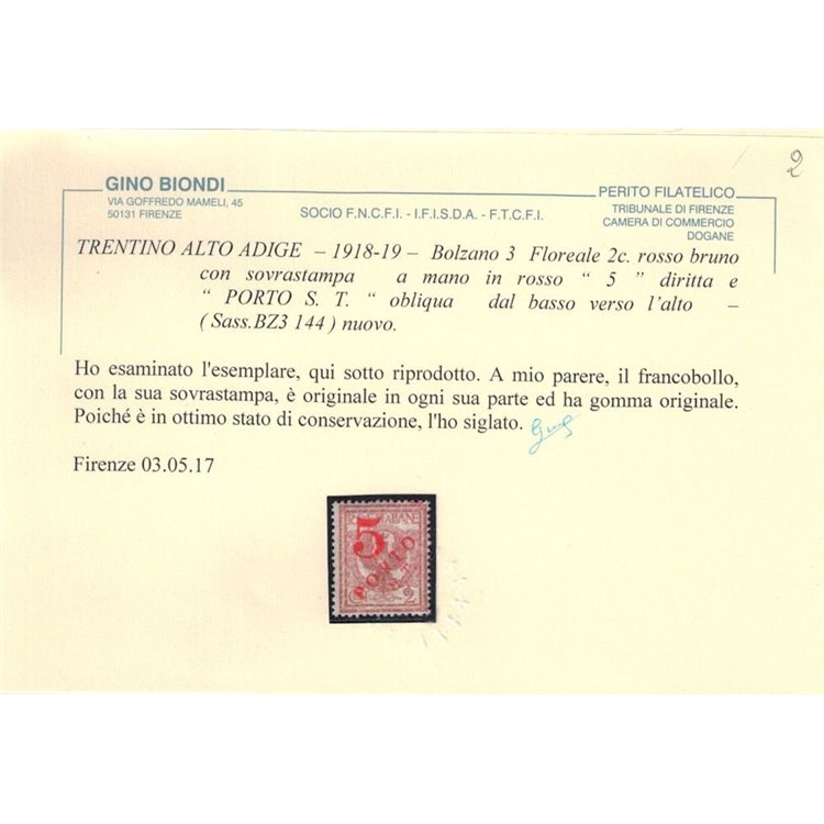 TRENTINO (BZ3) 1918-19 Floreale 2c (5 PORTO S.T. a mano) MH* ©