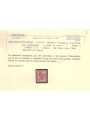 TRENTINO (BZ3) 1918-19 Floreale 2c (5 PORTO S.T. a mano) MH* ©