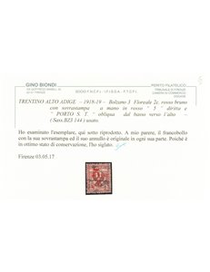 TRENTINO (BZ3) 1918-19 Floreale 2c (5 PORTO S.T. a mano) us ©
