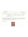 TRENTINO (BZ3) 1918-19 Floreale 2c (5 PORTO S.T. a mano) us ©
