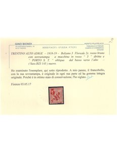 TRENTINO (BZ3) 1918-19 Floreale 2c (5 PORTO S.T. a macchina) MNH** ©