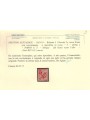 TRENTINO (BZ3) 1918-19 Floreale 2c (5 PORTO S.T. a macchina) MNH** ©