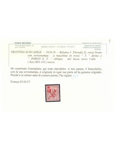 TRENTINO (BZ3) 1918-19 Floreale 2c (5 PORTO S.T. a macchina) MH* ©