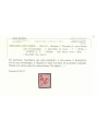 TRENTINO (BZ3) 1918-19 Floreale 2c (5 PORTO S.T. a macchina) MH* ©