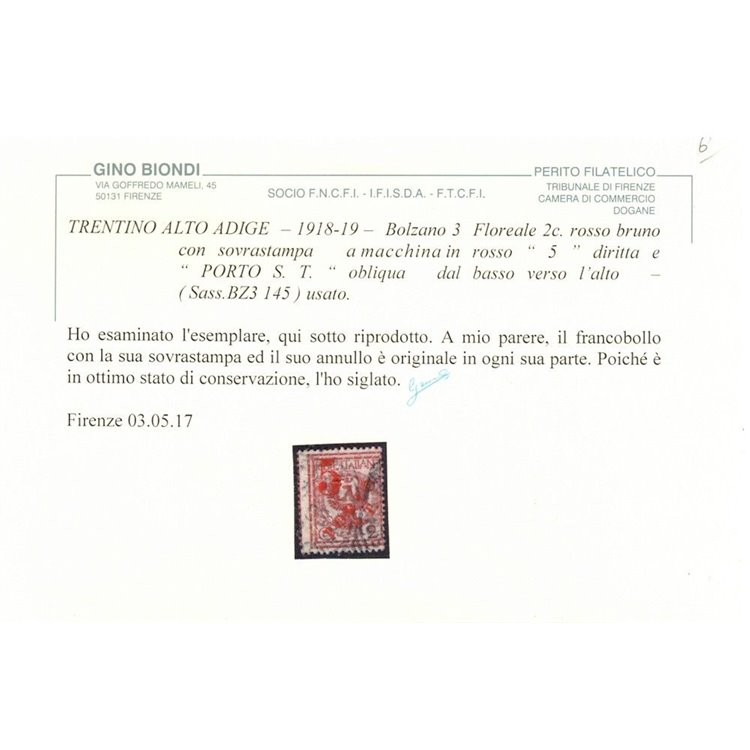 TRENTINO (BZ3) 1918-19 Floreale 2c (5 PORTO S.T. a macchina) us ©