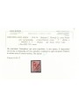 TRENTINO (BZ3) 1918-19 Floreale 2c (5 PORTO S.T. a macchina) us ©