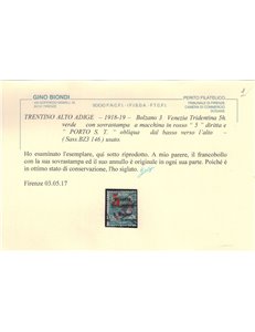 TRENTINO (BZ3) 1918-19 Venezia Tridentina (5 PORTO S.T.) us ©