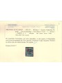 TRENTINO (BZ3) 1918-19 Venezia Tridentina (5 PORTO S.T.) us ©