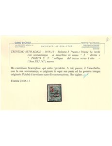 TRENTINO (BZ3) 1918-19 Trento e Trieste (5 PORTO S.T.) MNH** ©