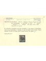 TRENTINO (BZ3) 1918-19 Trento e Trieste (5 PORTO S.T.) MNH** ©
