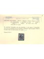 TRENTINO (BZ3) 1918-19 Trento e Trieste (5 PORTO S.T.) us ©