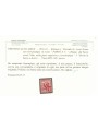 TRENTINO (BZ3) 1918-19 Floreale 2c (PORTO S.T. 5) MNH** ©