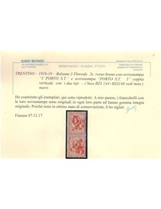 TRENTINO (BZ3) 1918-19 Floreale 2c (5 PORTO S.T. e S.T. PORTO 5) 2v MNH** ©