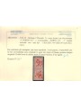 TRENTINO (BZ3) 1918-19 Floreale 2c (5 PORTO S.T. e S.T. PORTO 5) 2v MNH** ©